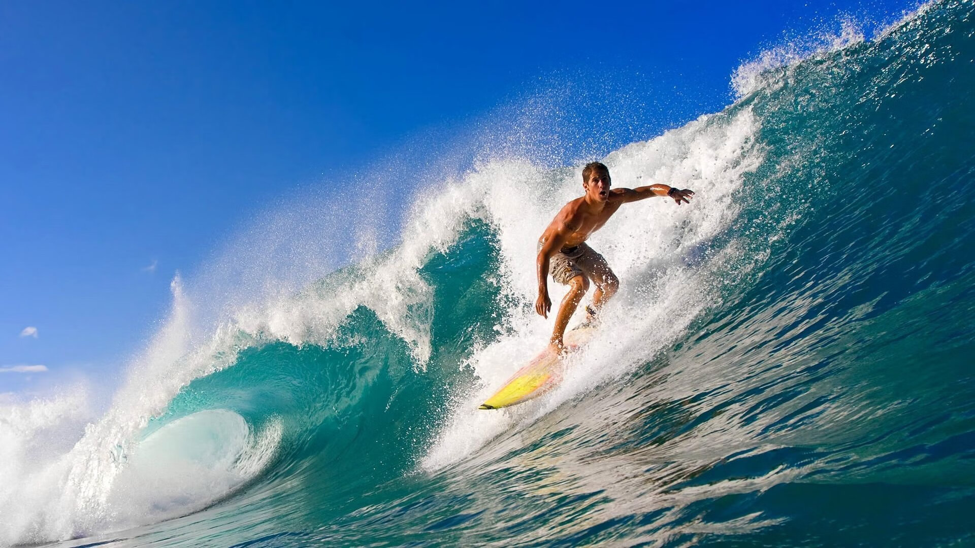 天山脚下生死战,世界之巅拉文封神—新疆力克国王背后的全球篮球叙事